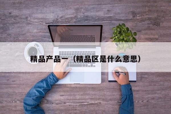 精品产品一（精品区是什么意思）