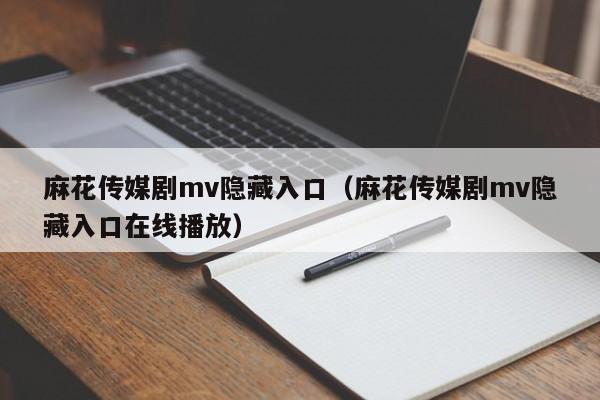 麻花传媒剧mv隐藏入口（麻花传媒剧mv隐藏入口在线播放）