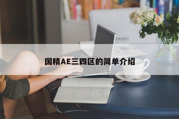 国精AE三四区的简单介绍