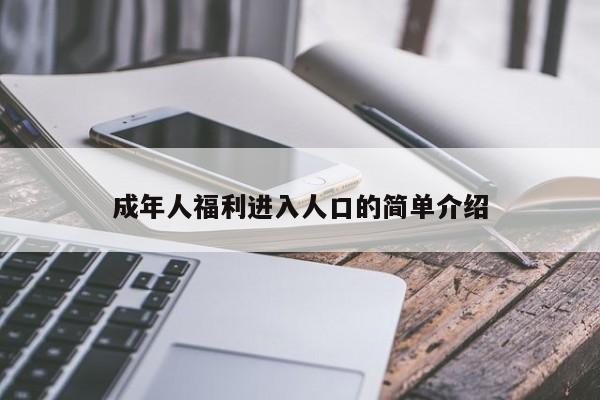 成年人福利进入人口的简单介绍