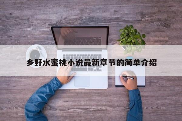 乡野水蜜桃小说最新章节的简单介绍