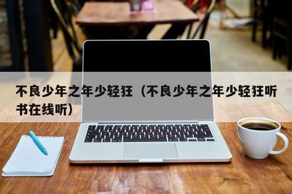 不良少年之年少轻狂（不良少年之年少轻狂听书在线听）